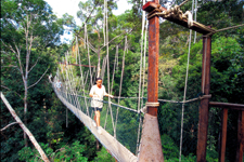 taman negara tour