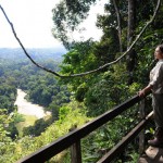 Danum Valley